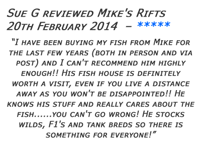 Mikes Rifts Review 5